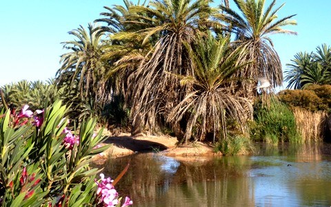 Tighmert Oasis Adventure